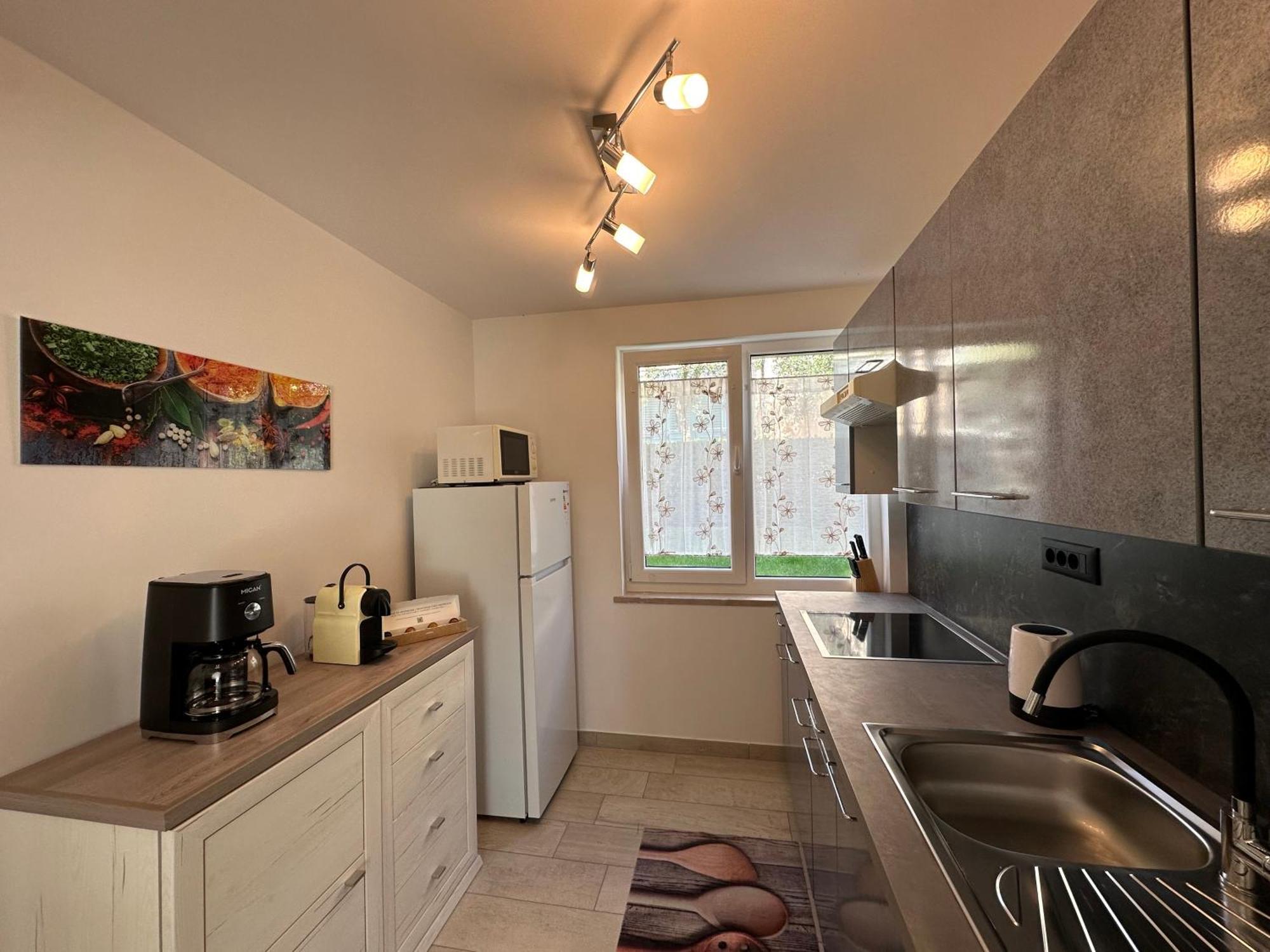 Villa Anthony 罗维尼 外观 照片