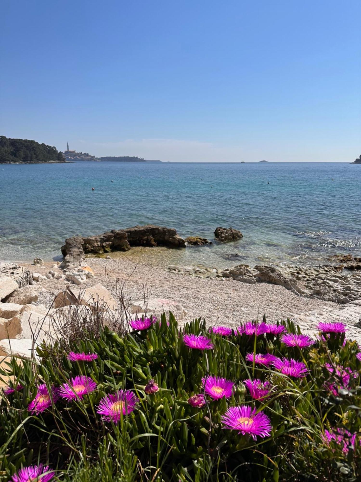 Villa Anthony 罗维尼 外观 照片